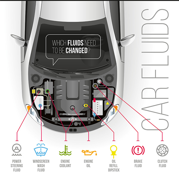 The 8 Most Overlooked Car Maintenance Services | Gowen’s Automotive Repairs